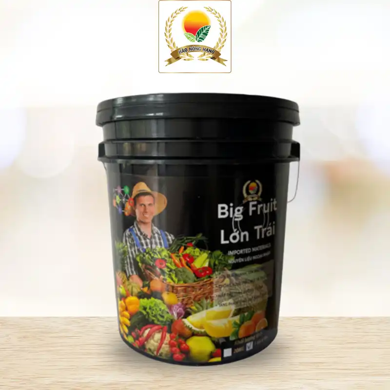 BIG - FRUIT (Dạng Gel)