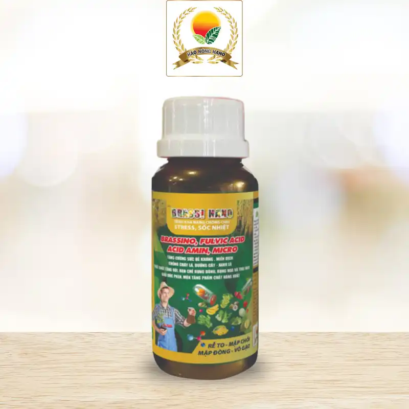 BRASSI HANO (Gel sệt)