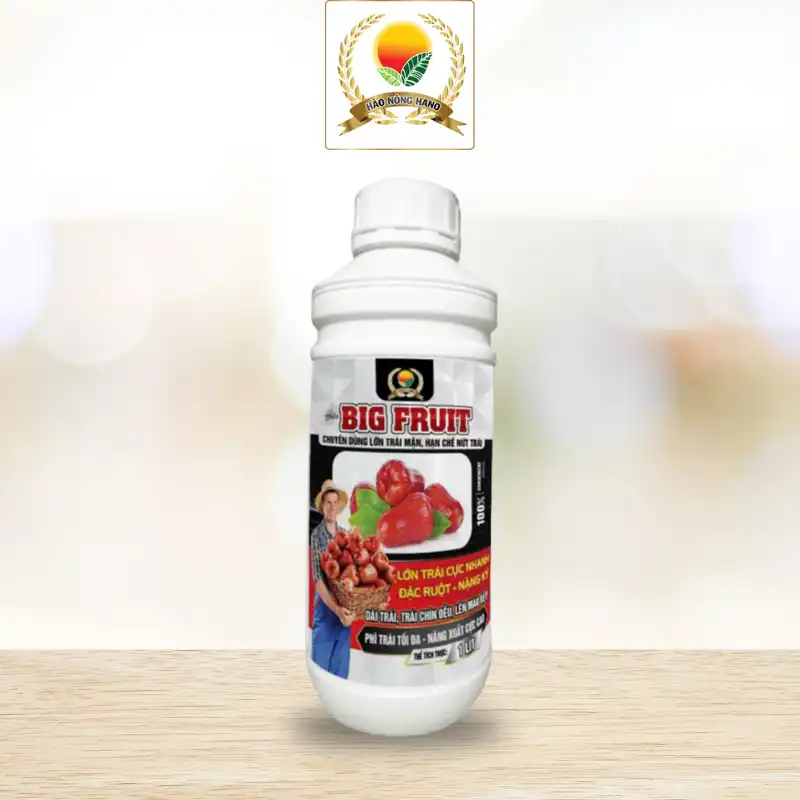 LỚN TRÁI (Dạng nước)