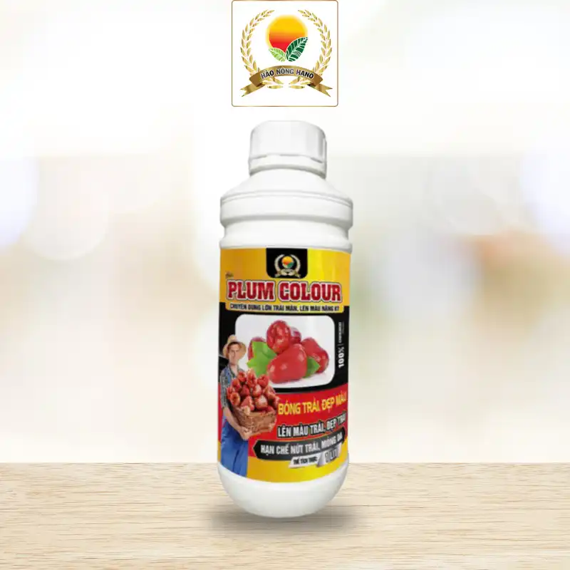 LỚN TRÁI MẬN (Dạng Nước)