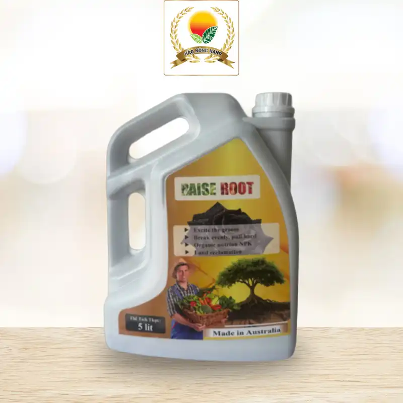 RAISE ROOT (Dạng nước)