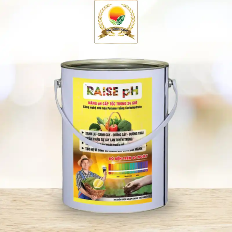 RAISE pH (Gel sệt)