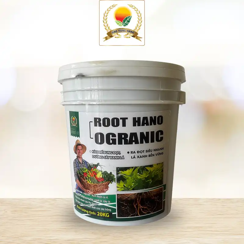 ROOT HANO ORGANIC