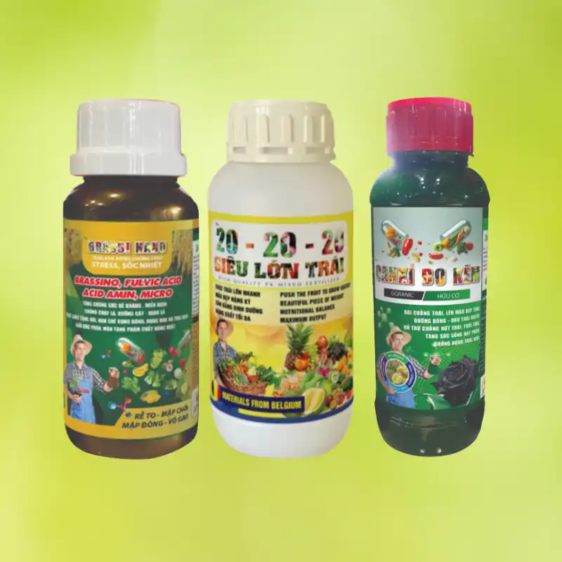 Chạy trái, nuôi trái, phì trái