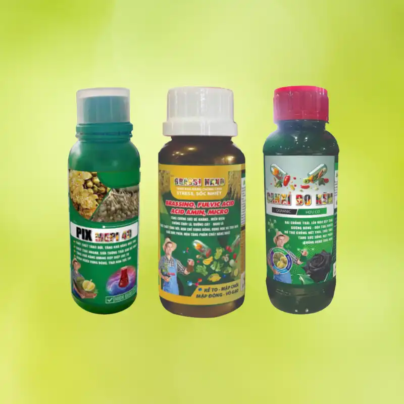 Chống rụng thắt chặt tầng rơi 24h